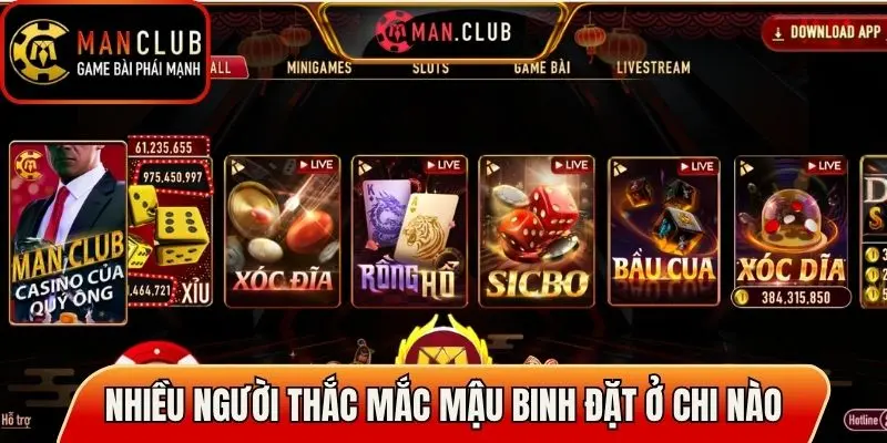 Nhiều người thắc mắc Mậu Binh cù lũ đặt ở chi nào